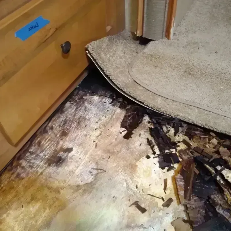 Best Wood Floor Water Damage Service in Laurelton, NY